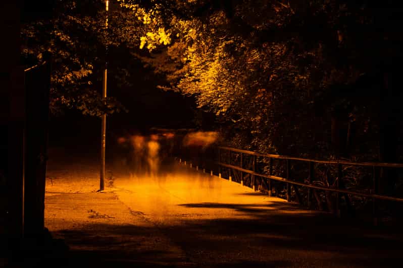 Dublin walking tour: ghosts & haunted places - Dublin’s ghosts begin with real places