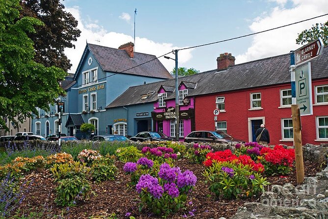 Easy Access Blarney Stone and Castle Gardens Tour - Who should book this Blarney tour?