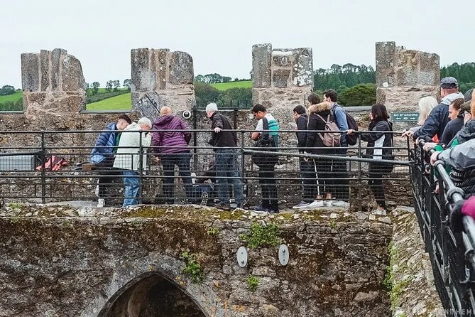 Easy Access Blarney Stone and Castle Gardens Tour - Entering Blarney Castle and waiting for the stone