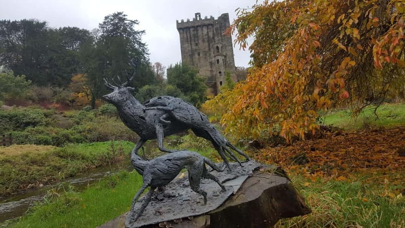 Easy Access - The Blarney Stone & Castle Gardens Tour - The guides make the difference