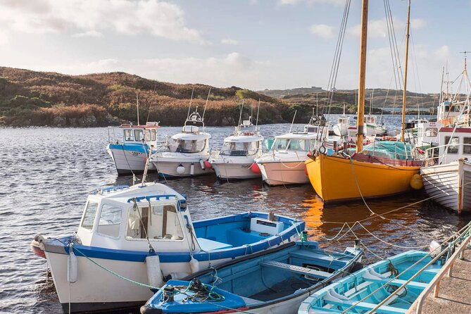 Electric Bike Donegal: Must-Do Half-Day Adventure! - Follow the app at your own pace