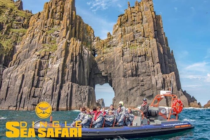 Exhilarating Rib experience - Dingle sea safari - Puffins and seabirds from April through August