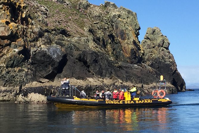 Exhilarating Rib experience - Dingle sea safari - The Blasket Islands and the sense of distance
