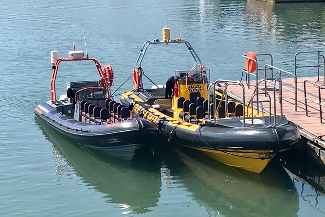 Exhilarating Rib experience - Dingle sea safari - The thrilling part, and the uncomfortable part