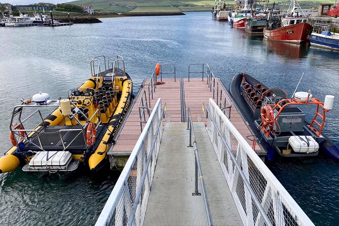 Exhilarating Rib experience - Dingle sea safari - Weather, cancellations, and cruise ship timing