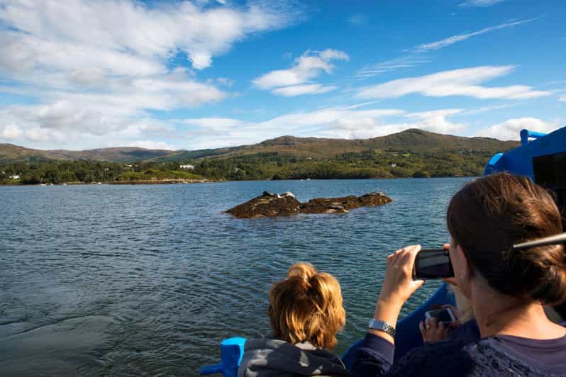 Fastnet Rock Lighthouse direct boat tour-Baltimore.Guided. - The Cape Clear stop and island views