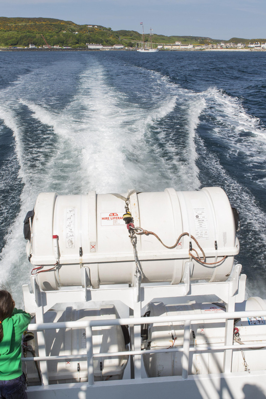 Fastnet Rock Lighthouse direct boat tour-Baltimore.Guided. - Who will enjoy this boat trip