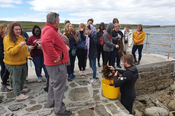 Food, heritage & cultural tour Inishmore, Aran Islands. Guided. - Dún Eochla, a fort above the island