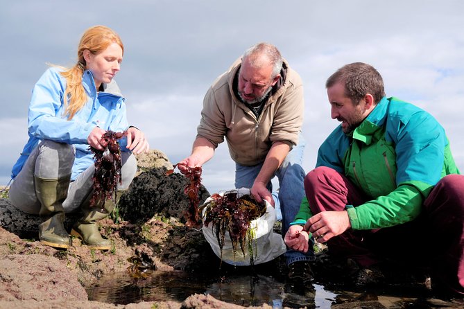 Food, heritage & cultural tour Inishmore, Aran Islands. Guided. - What the private format is worth