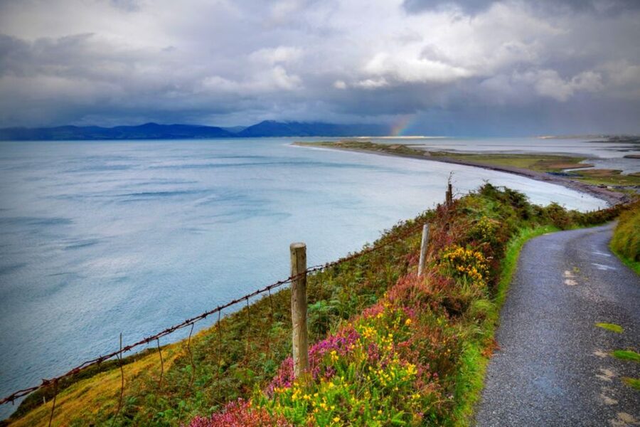 From Cork: 9-Hour Guided Ring of Kerry and Killarney Tour - Lunch in Sneem