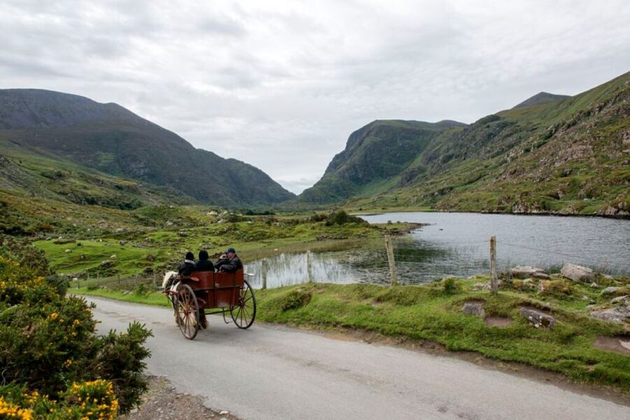 From Cork: 9-Hour Guided Ring of Kerry and Killarney Tour - Lough Leane and Ireland’s native oak woods