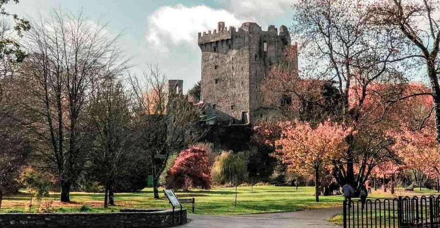 From Cork: County Cork Highlights Tour with Entrance Tickets - Charles Fort: a strong site with limited time