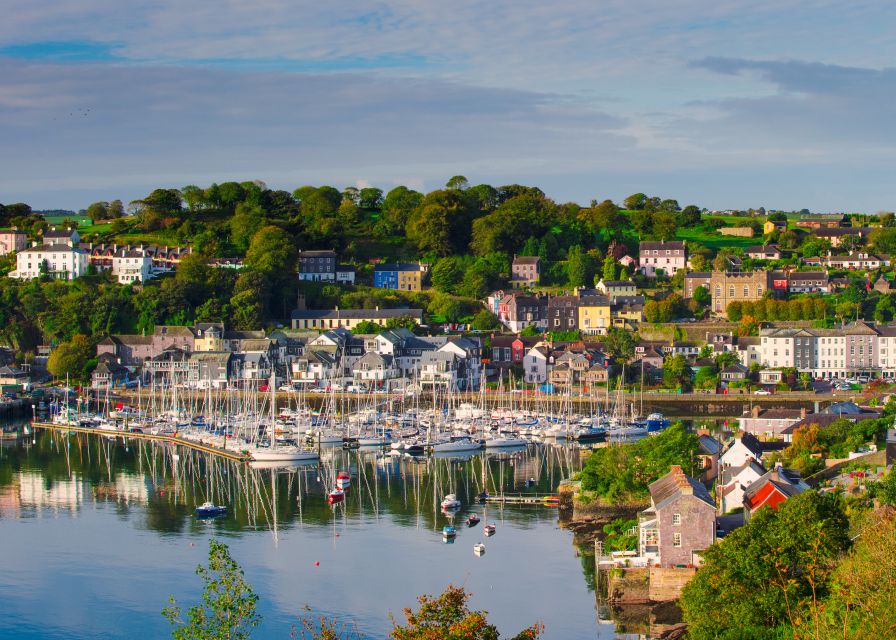 From Cork: County Cork Highlights Tour with Entrance Tickets - The guides and the ride between stops