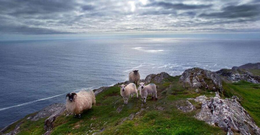 From Cork: Guided Full-Day West Cork to Mizen Head Tour - The Wild Atlantic Way is part of the experience