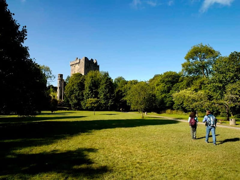 From Cork: Guided Shared Shore Excursion - Blarney Castle and the famous stone