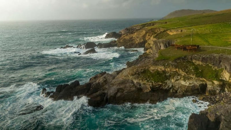 From Cork: Ring of Kerry & Killarney Guided Full Day Tour - The Wild Atlantic Way and views toward the Skellig Islands