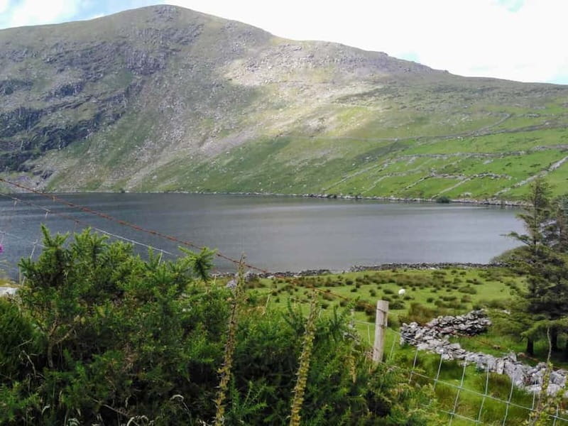 From Cork: Ring of Kerry & Killarney Guided Full Day Tour - Who will get the most from this tour