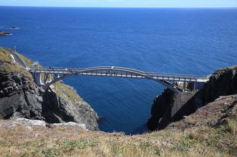 From Cork: West Cork to Mizen Head Guided Full Day Tour - Key points at a glance