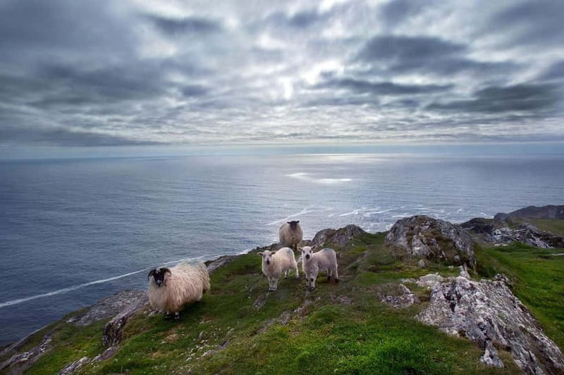 From Cork: West Cork to Mizen Head Guided Full Day Tour - Why this West Cork day trip works