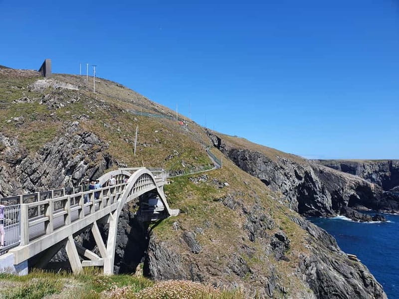 From Cork: West Cork to Mizen Head Guided Full Day Tour - What the guide and vehicle add