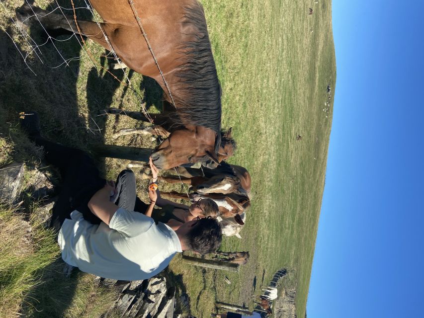 From Doolin: Cliffs of Moher Guided Coastal Walk - The 8km route through fields and along the cliffs