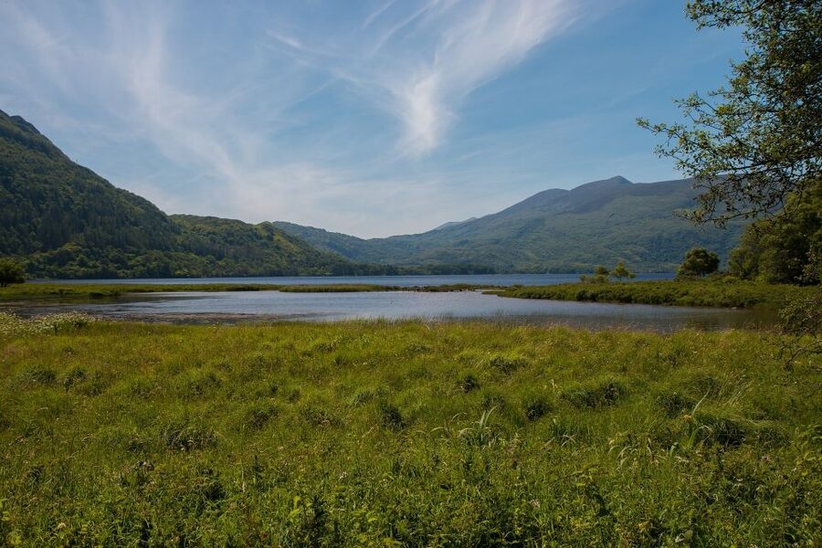 From Dublin: 2-Day Cork, Blarney Castle & Ring of Kerry Tour - Who should book this tour?