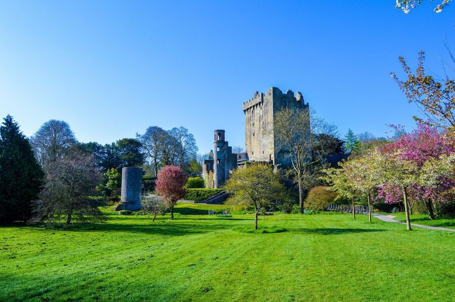 From Dublin: 6-Day All of Ireland Rail Tour - Day two: the Ring of Kerry from Killarney