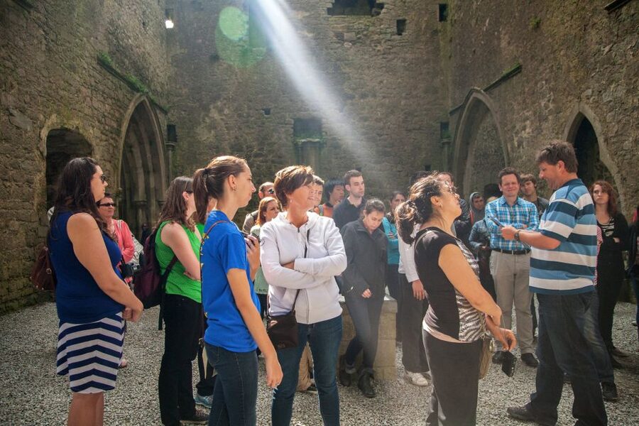 From Dublin: Blarney, Rock of Cashel and Cahir Castles Tour - The guide can make or break the long bus hours