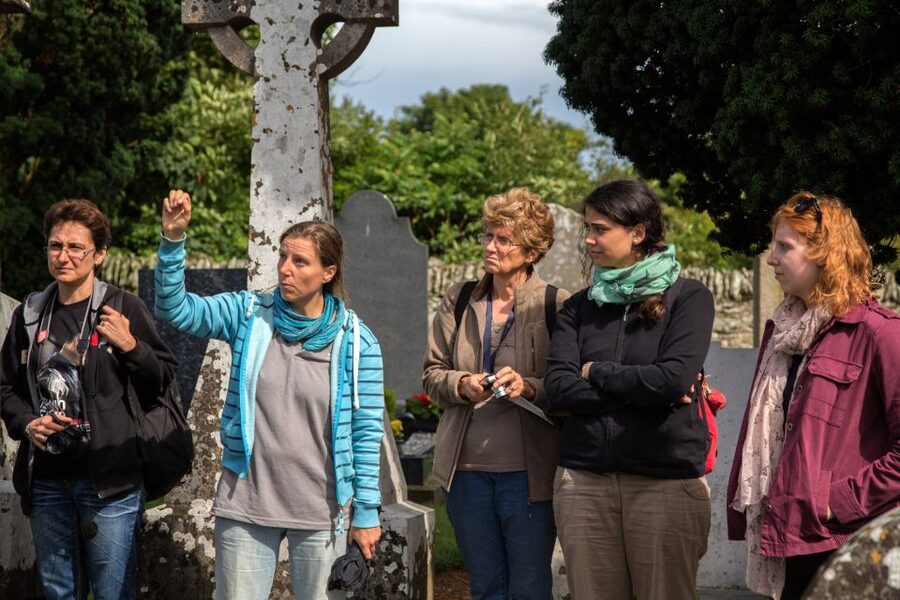 From Dublin: Celtic Boyne Valley and Ancient Sites Tour - Trim Castle and medieval Ireland