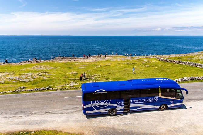 From Dublin: Cliffs of Moher, Bird of Prey & Aillwee Cave - Crossing Ireland from Dublin to County Clare