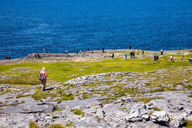 From Dublin: Cliffs of Moher, Bird of Prey & Aillwee Cave - Seeing the Cliffs of Moher from above and below