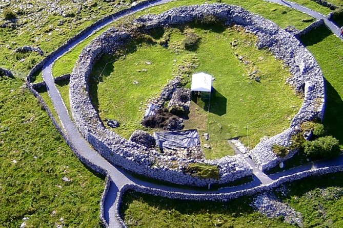 From Dublin: Cliffs of Moher, Bird of Prey & Aillwee Cave - Who should book this County Clare day trip?