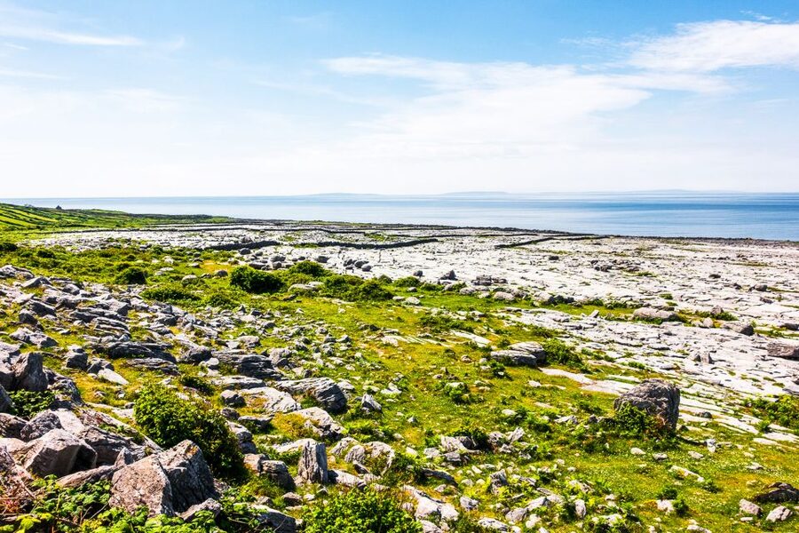 From Dublin: Cliffs of Moher, Burren & Galway City Day Tour - The guide can shape the whole experience