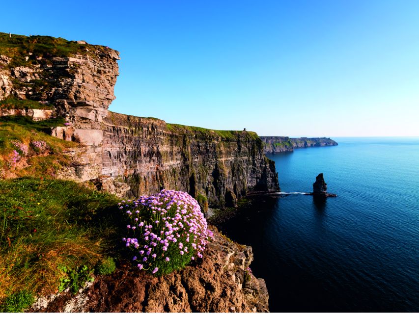 From Dublin: Cliffs of Moher Small Group Tour - The return to Dublin