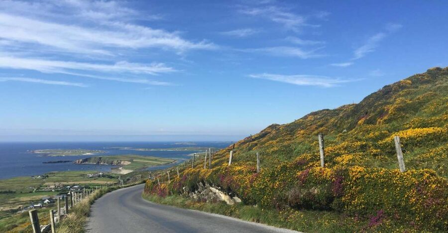 From Dublin: Connemara and Galway Bay Day Tour - Why Connemara Makes This Day Worth Considering