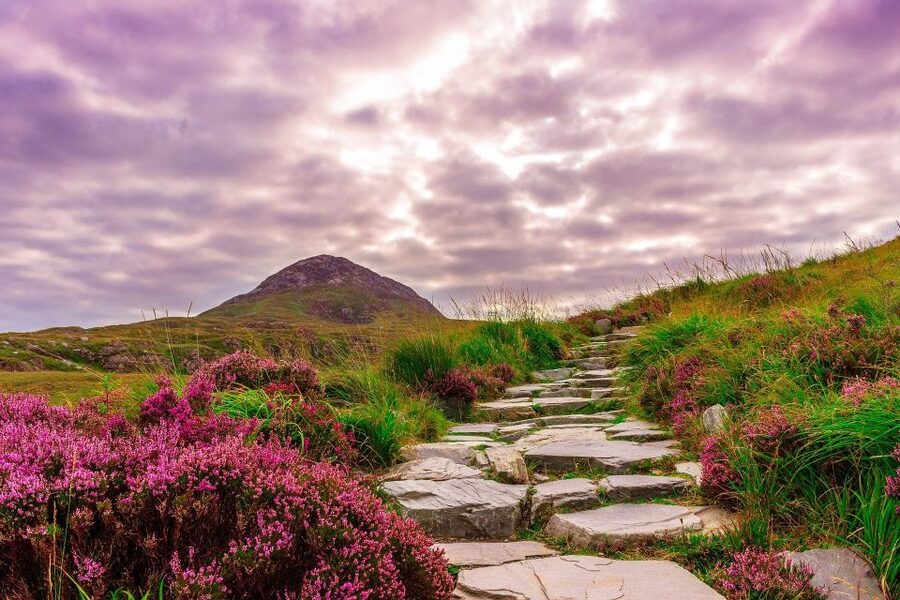From Dublin: Connemara and Galway Bay Day Tour - Through the Inagh Valley
