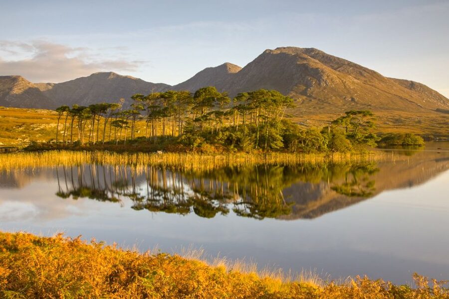 From Dublin: Connemara and Galway Full-Day Tour - Is $85 good value?