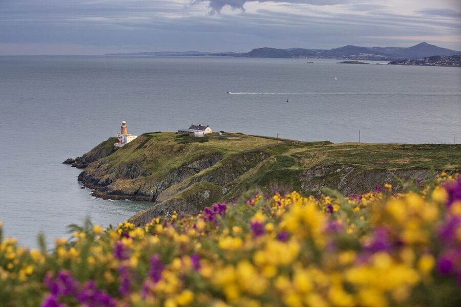From Dublin: Half-Day Guided Coastal Tour to Howth Village - Why Howth makes a good half-day escape