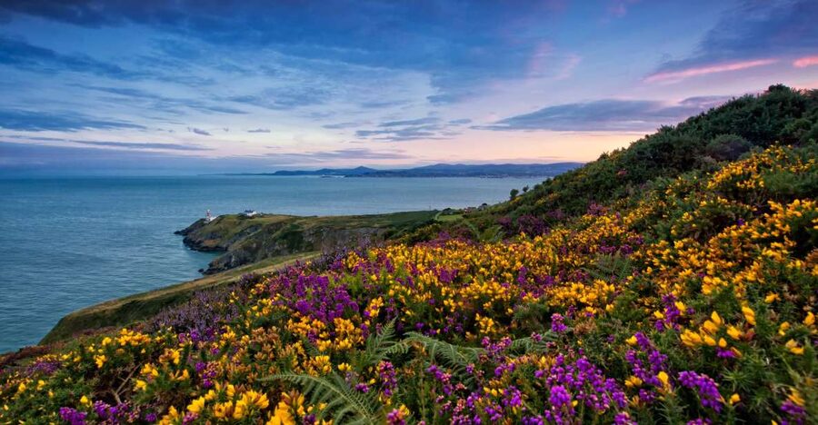 From Dublin: Half-Day Guided Coastal Tour to Howth Village - Reaching Howth Summit and the green route