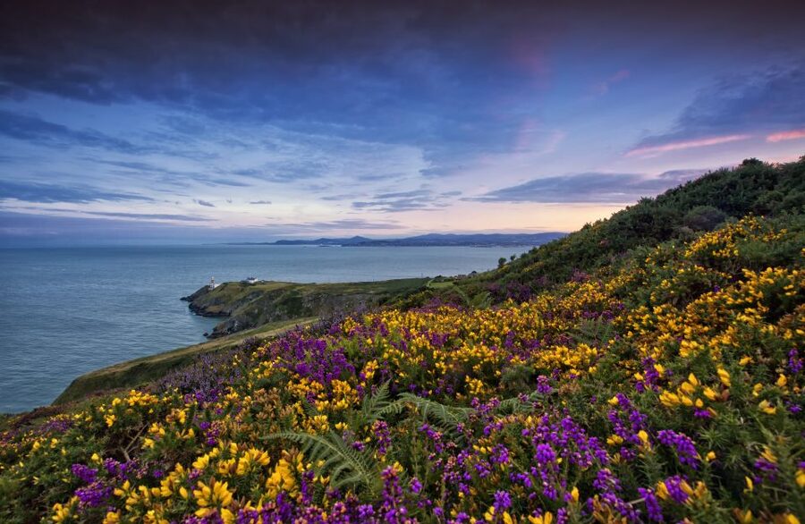 From Dublin: Half-Day Guided Coastal Tour to Howth Village - Leaving from 13 Upper O’Connell Street