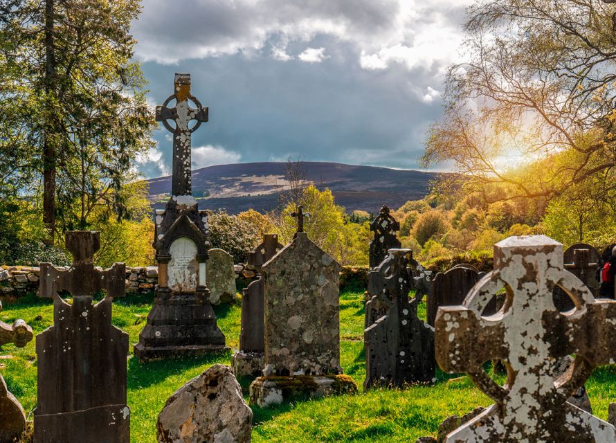 From Dublin: Half-Day Trip to Glendalough and Wicklow - The guide can make or break the drive