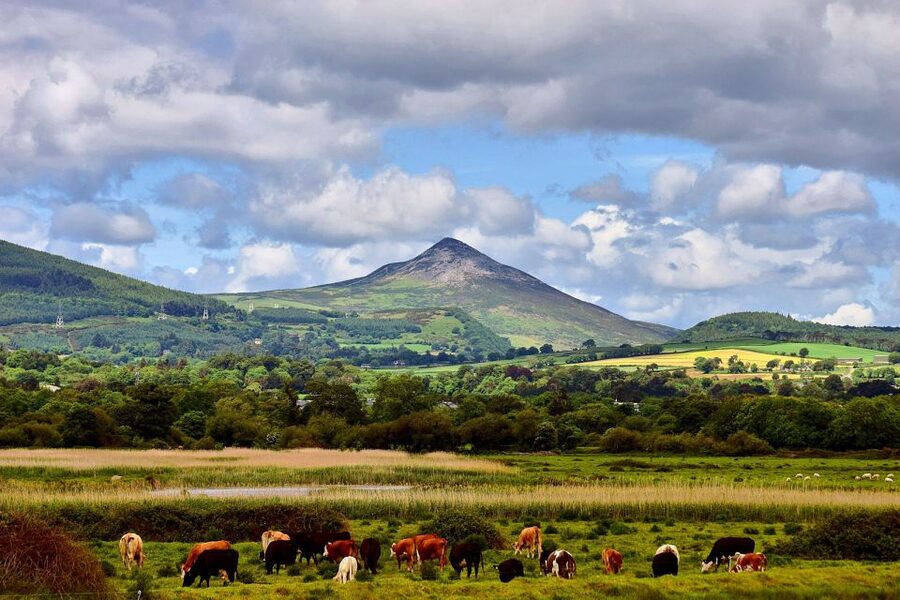 From Dublin: Wicklow Mountains, Glendalough & Kilkenny Tour - Practical details for a smoother day