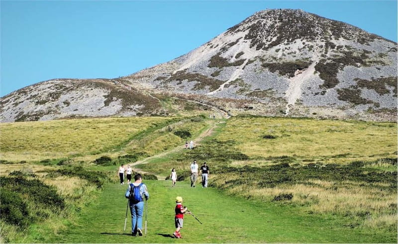 From Dublin: Wicklow, Powerscourt, and Glendalough Day Tour - Final decision: a strong day trip with limited time at each stop