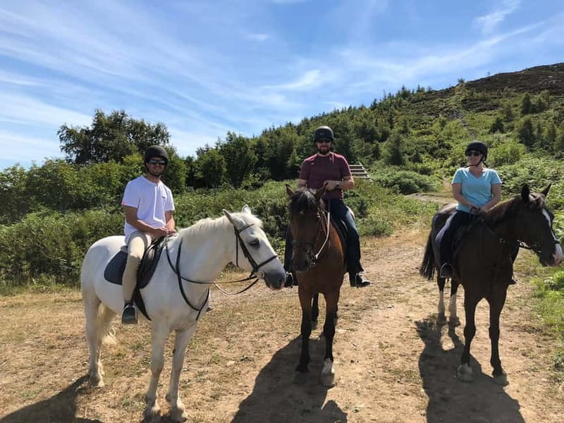 From Dublin: Wicklow, Powerscourt, and Glendalough Day Tour - Sally Gap and the PS I Love You Bridge