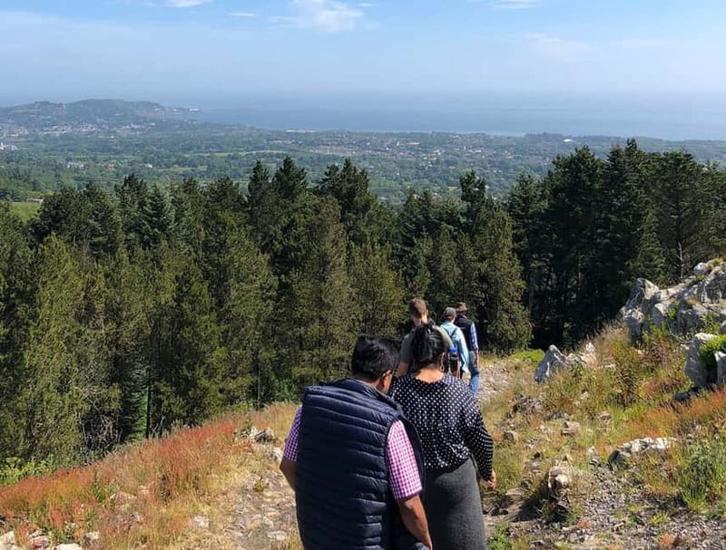 From Dublin: Wicklow, Powerscourt, and Glendalough Day Tour - Who should take this Wicklow day tour?