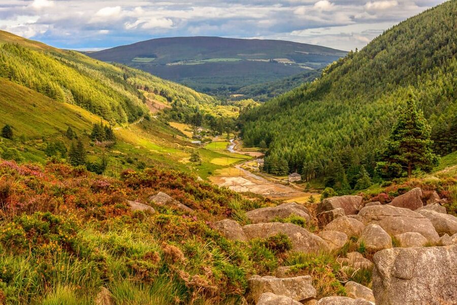 From Dublin: Wild Wicklow Mountains and Glendalough Tour - The Sally Gap and Wicklow’s high country
