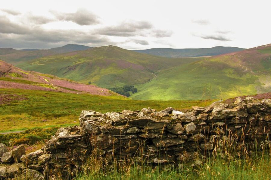 From Dublin: Wild Wicklow Mountains and Glendalough Tour - The whiskey tasting before Dublin