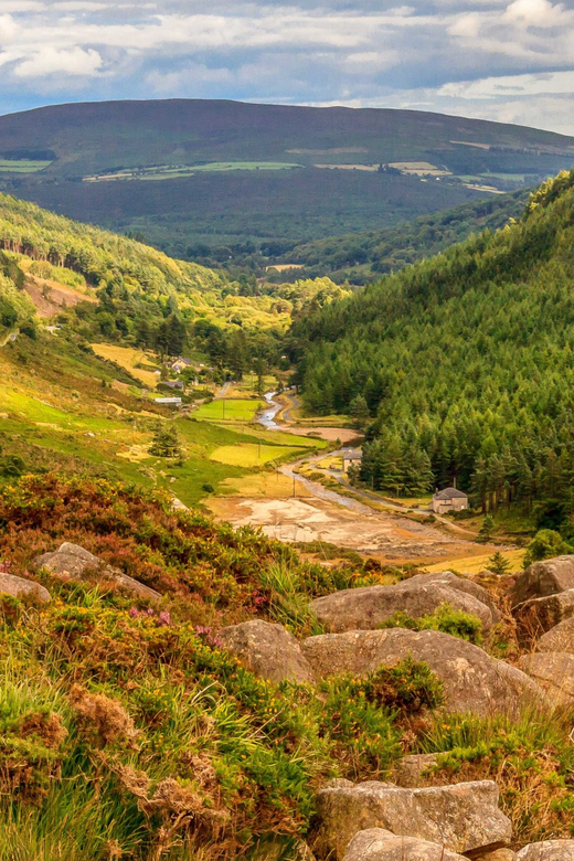 From Dublin: Wild Wicklow Mountains and Glendalough Tour - Starting along Dublin’s southern coast