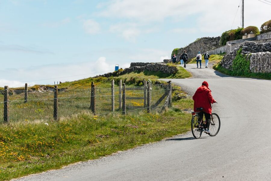 From Galway: Aran Islands & Cliffs of Moher Full-Day Trip - Should you book the Galway to Inisheer and Moher tour?
