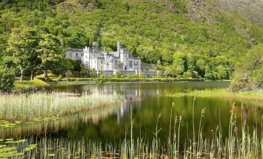 From Galway: Castles of Connemara Full-Day Tour - Small group comfort and guide quality